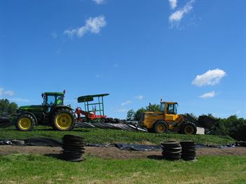 Frøblanding Nr. 43, 10 kg